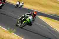 Evening Low_Mid Group Green Bikes